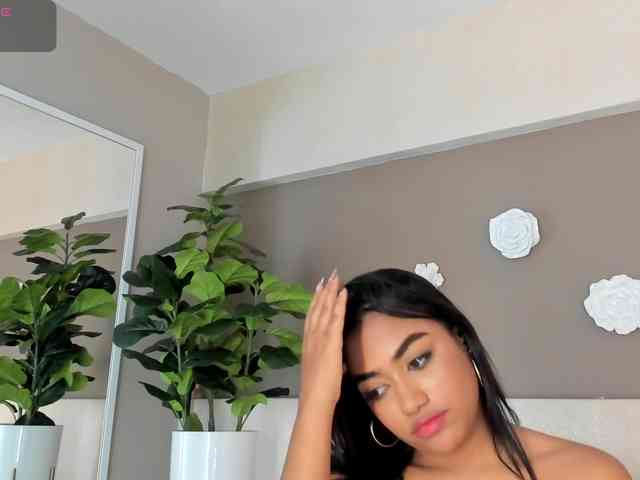 Modelo: dionneventuri