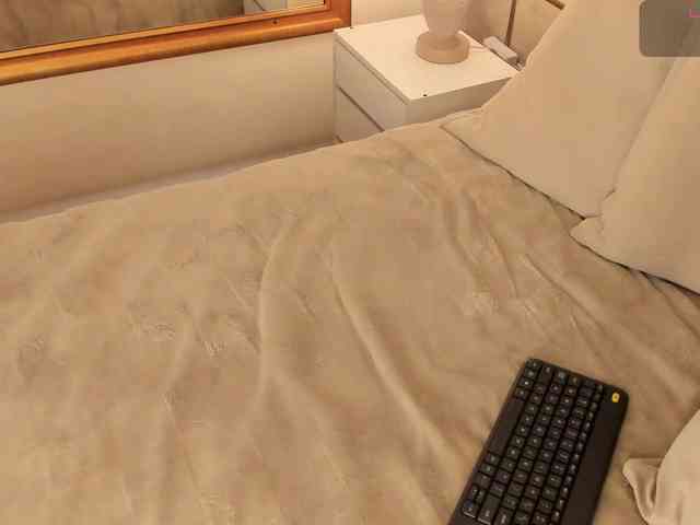 dionneventuri webcam