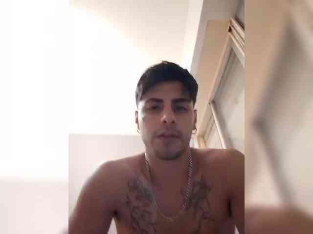 AronFox1 AronFox1