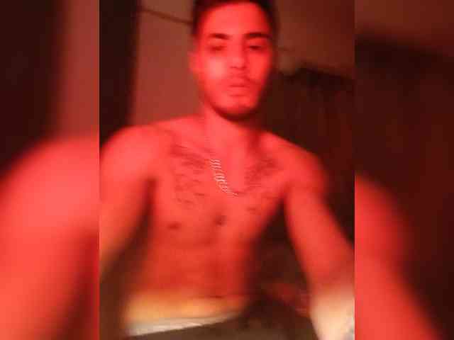 AronFox1 AronFox1