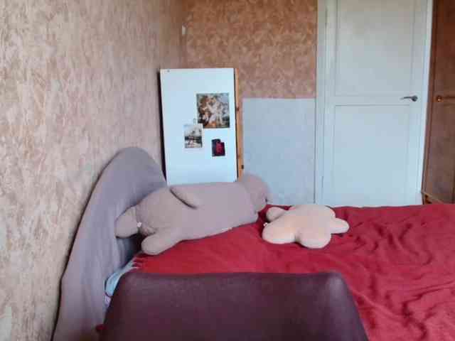 Carolzel webcam