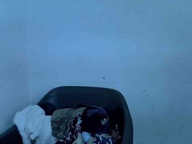 Sexyxpeach webcam