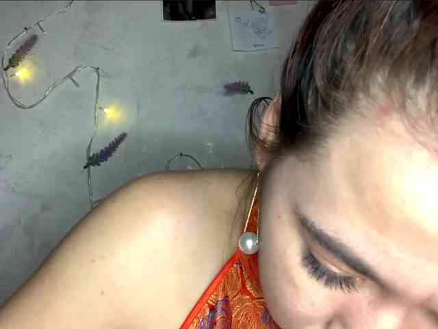 SunOudker webcam