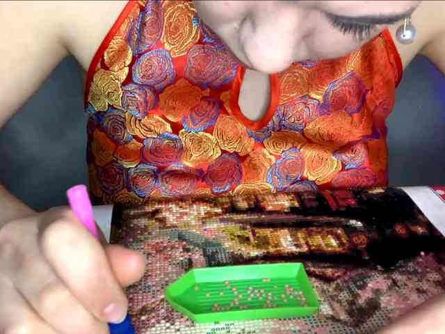 SunOudker webcam