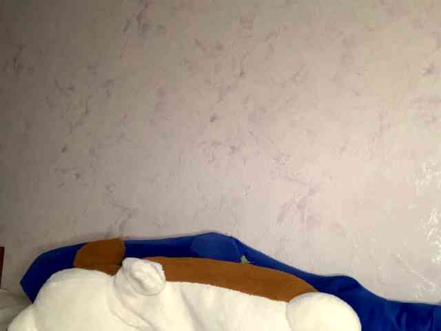 SunOudker webcam