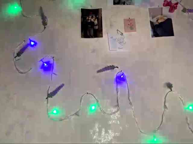 SunOudker webcam