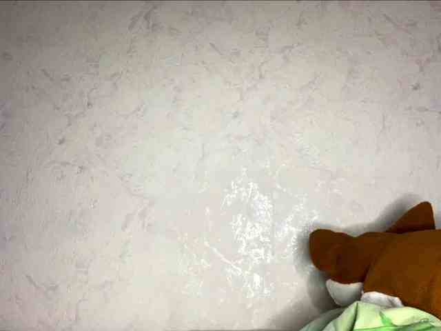SunOudker webcam