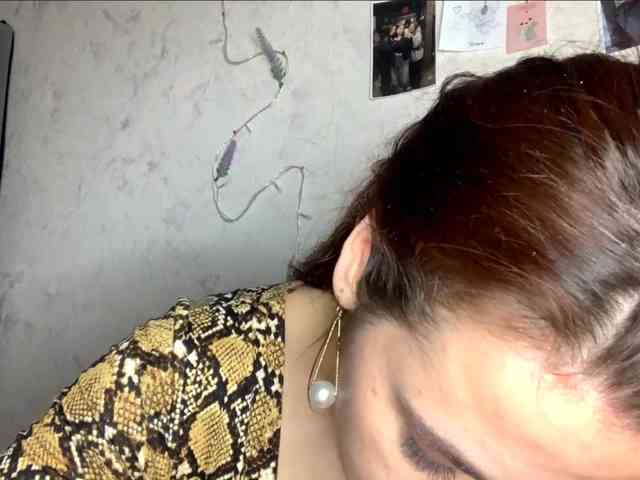SunOudker webcam
