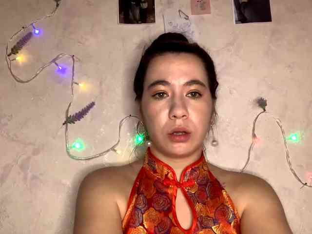 SunOudker webcam