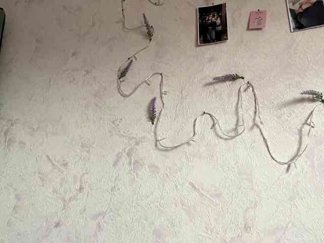 SunOudker webcam