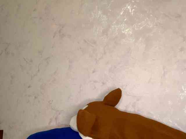 SunOudker webcam