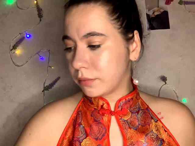 SunOudker webcam