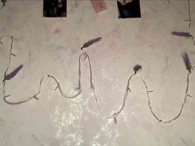 SunOudker webcam