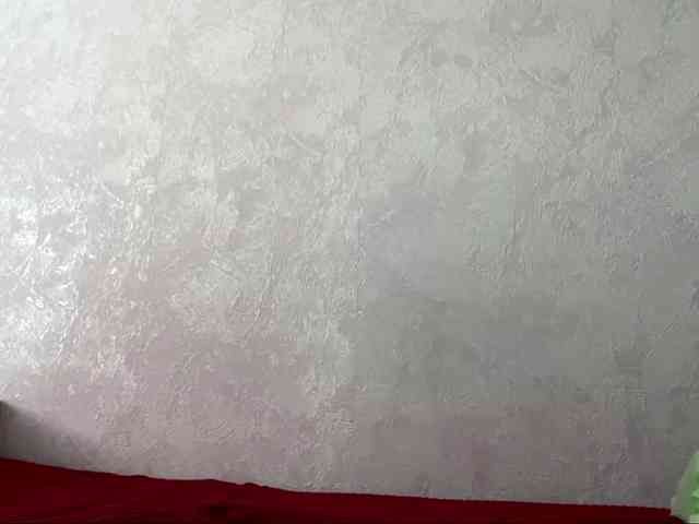 SunOudker webcam