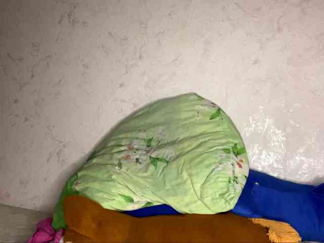 SunOudker webcam