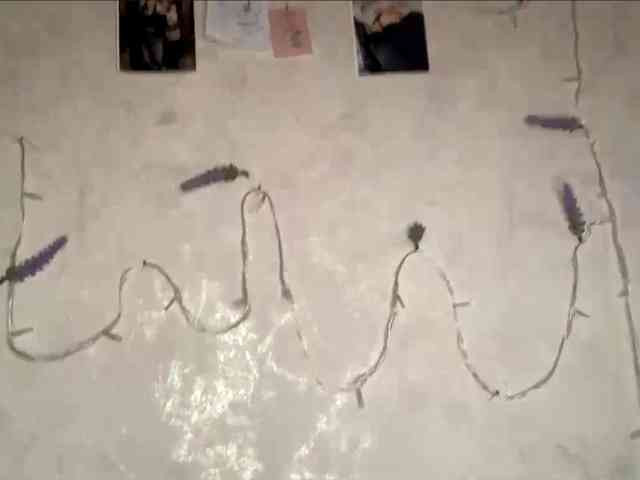 SunOudker webcam
