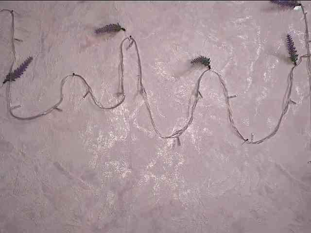 SunOudker webcam