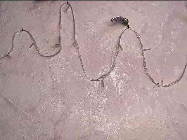 SunOudker webcam