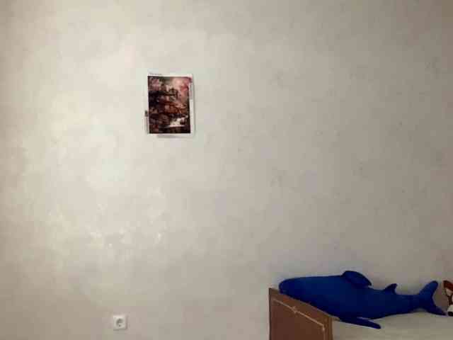 SunOudker webcam