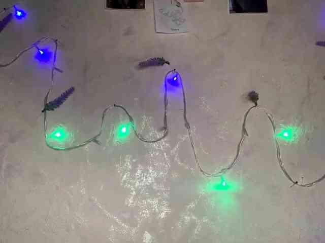 SunOudker webcam