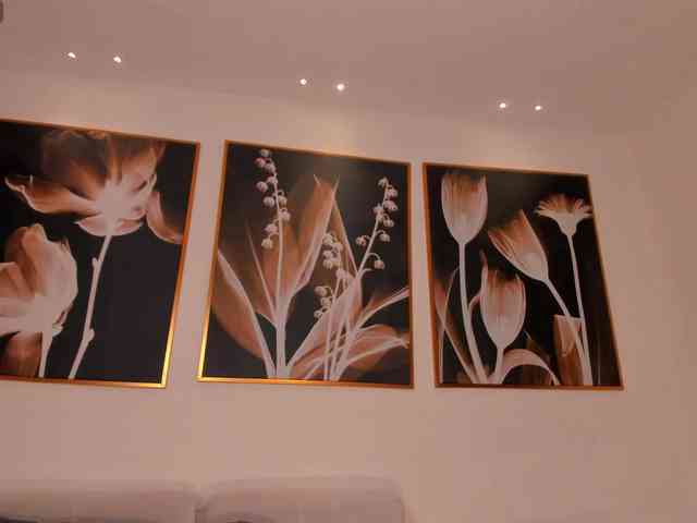 SaphiraJames webcam