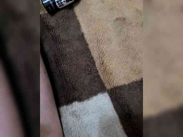 ambassador765 webcam