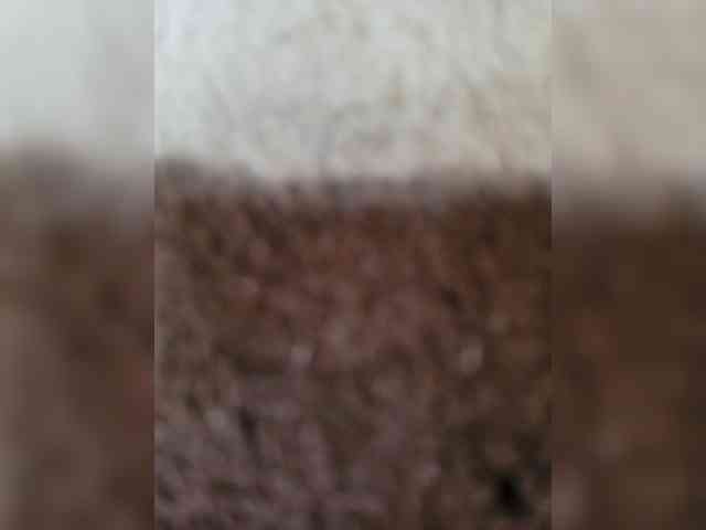 ambassador765 webcam