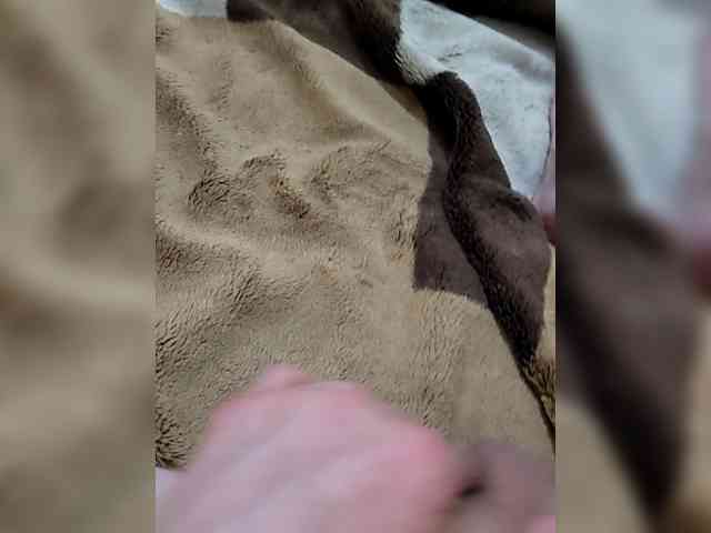 ambassador765 webcam