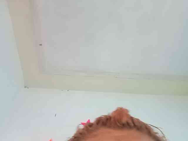 Zorriita17 webcam