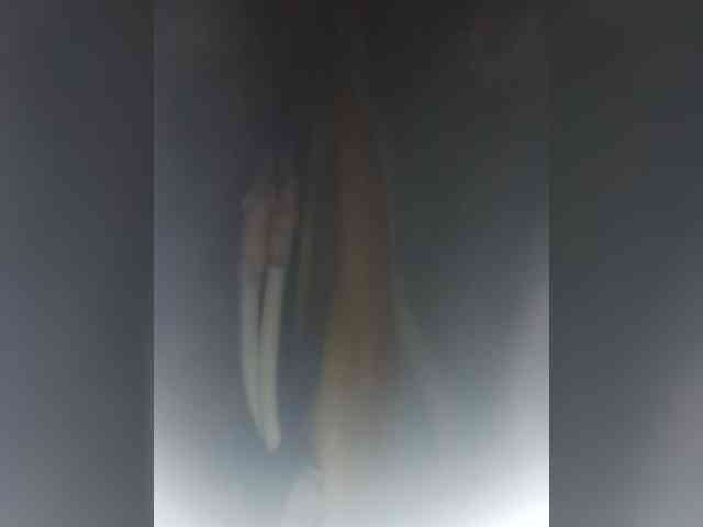 Zorriita17 webcam