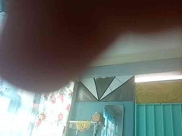 Zorriita17 webcam