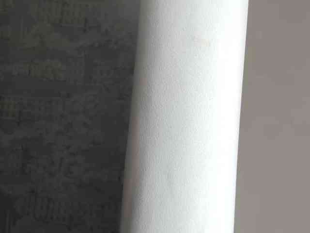 BubbleBoop webcam