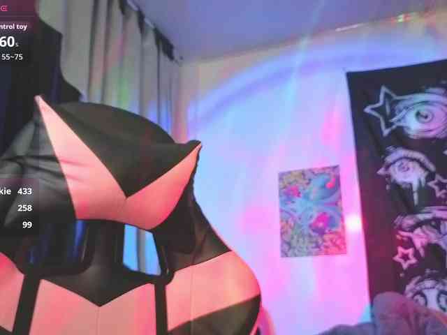 Vakker-meilee webcam