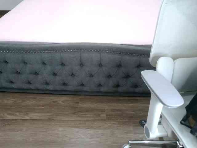 Bongcute's webcam live show
