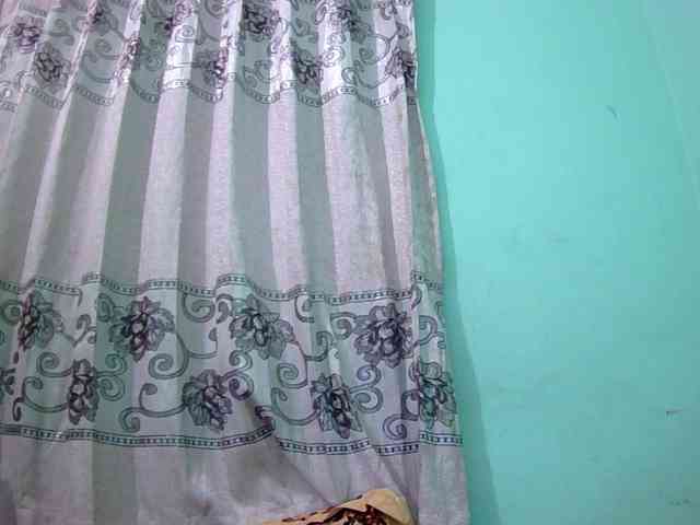 Queen19 webcam