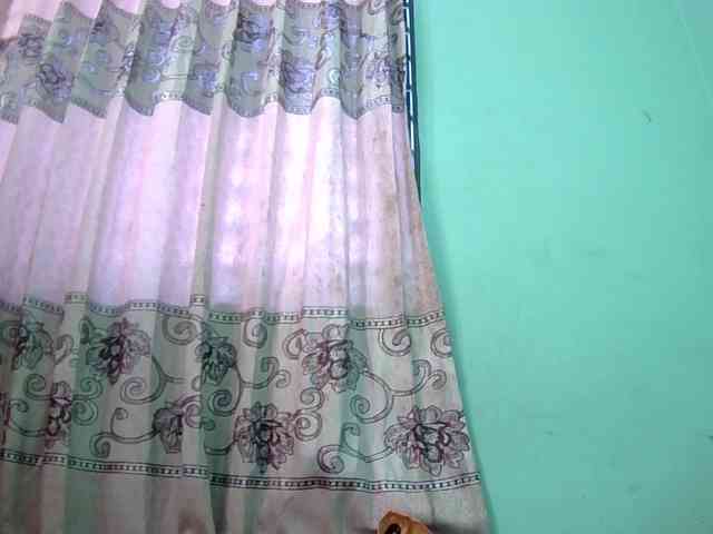 Queen19 webcam