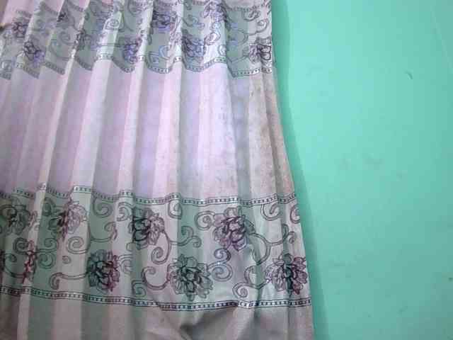Queen19 webcam