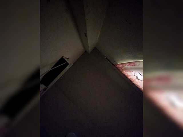 rosearebluee