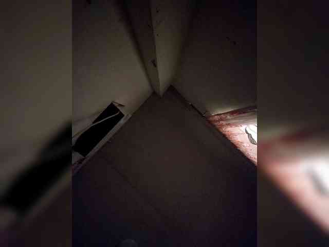 rosearebluee webcam