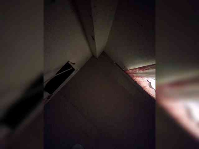 rosearebluee webcam