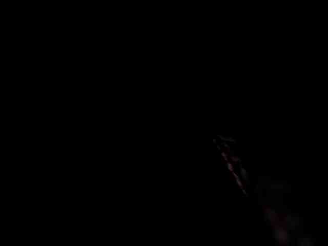rosearebluee webcam