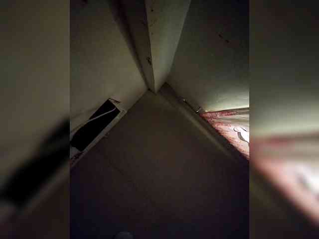 rosearebluee webcam