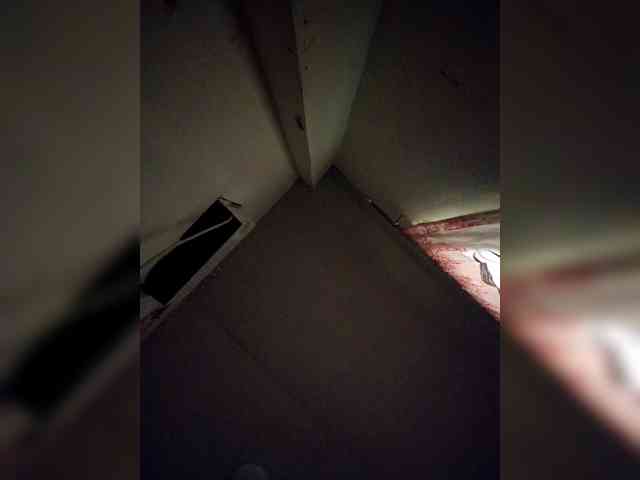 rosearebluee webcam