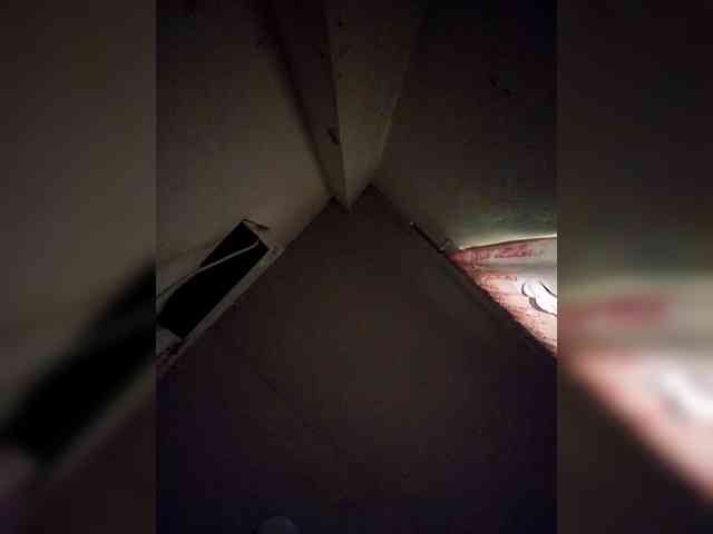 rosearebluee webcam