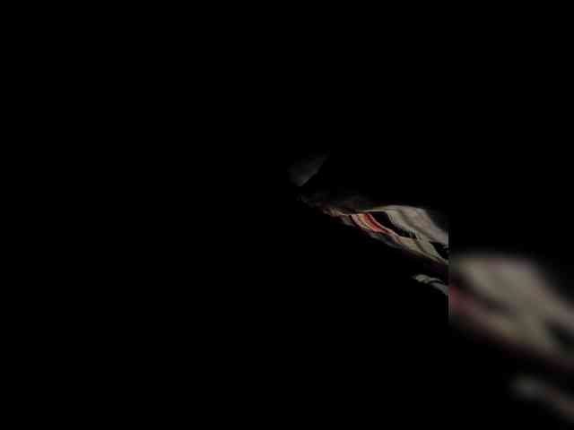 rosearebluee webcam
