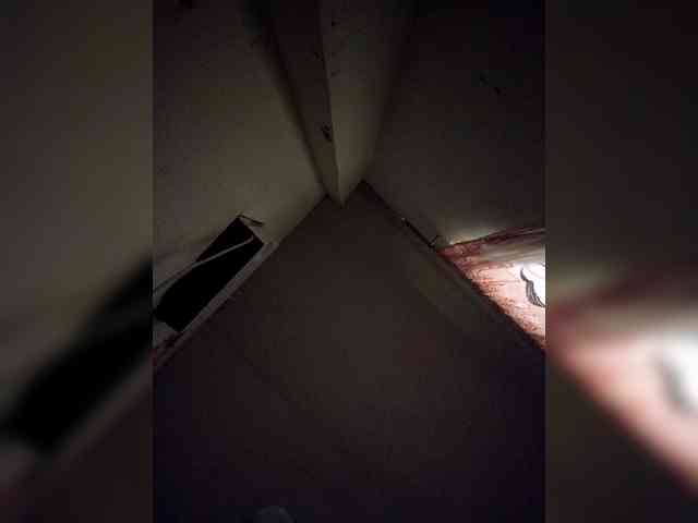 rosearebluee webcam