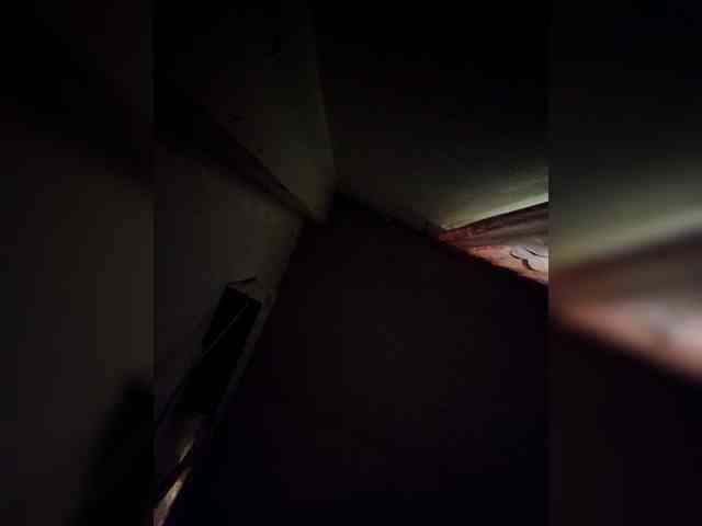 rosearebluee webcam