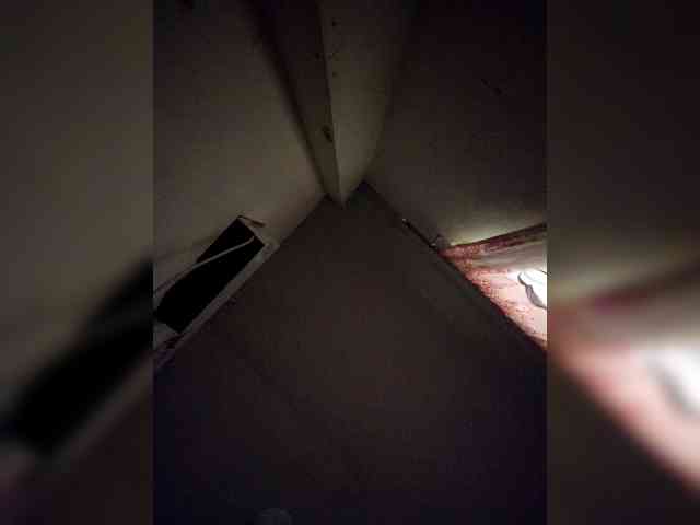rosearebluee webcam
