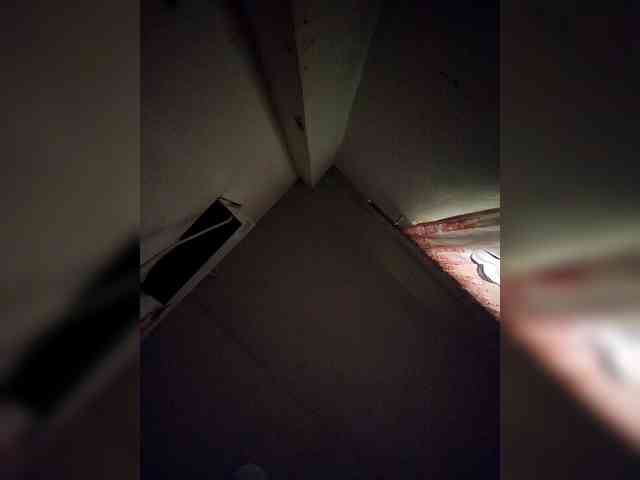 rosearebluee webcam