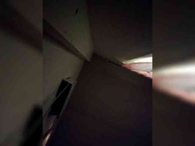 rosearebluee webcam